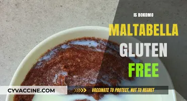 Exploring Bokomo Maltabella: A Gluten-Free Option for Your Diet