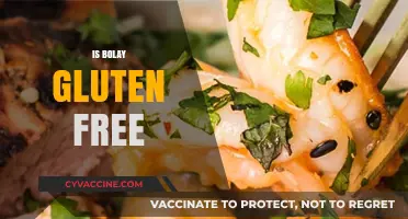 Is Bolay Gluten-Free? A Complete Guide to Their Menu Options