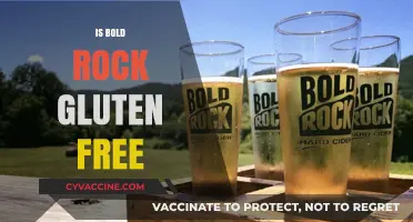 Is Bold Rock Gluten Free? A Cider Lover's Guide