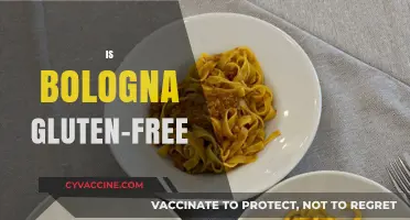 Is Bologna Gluten-Free? Uncovering the Truth for Celiac Diets