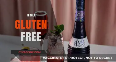 Is Bols Gluten-Free? A Guide to Safe Cocktail Ingredients