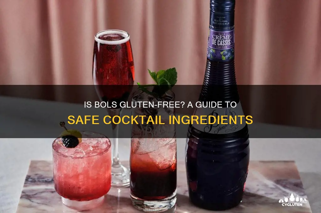is bols gluten free