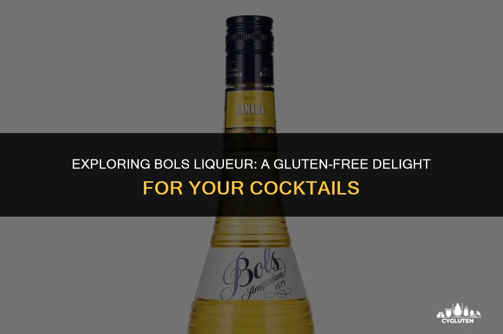 is bols liqueur gluten free