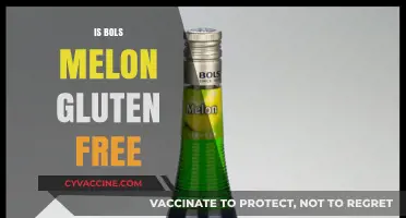 Exploring the Gluten-Free Status of Bols Melon Liqueur
