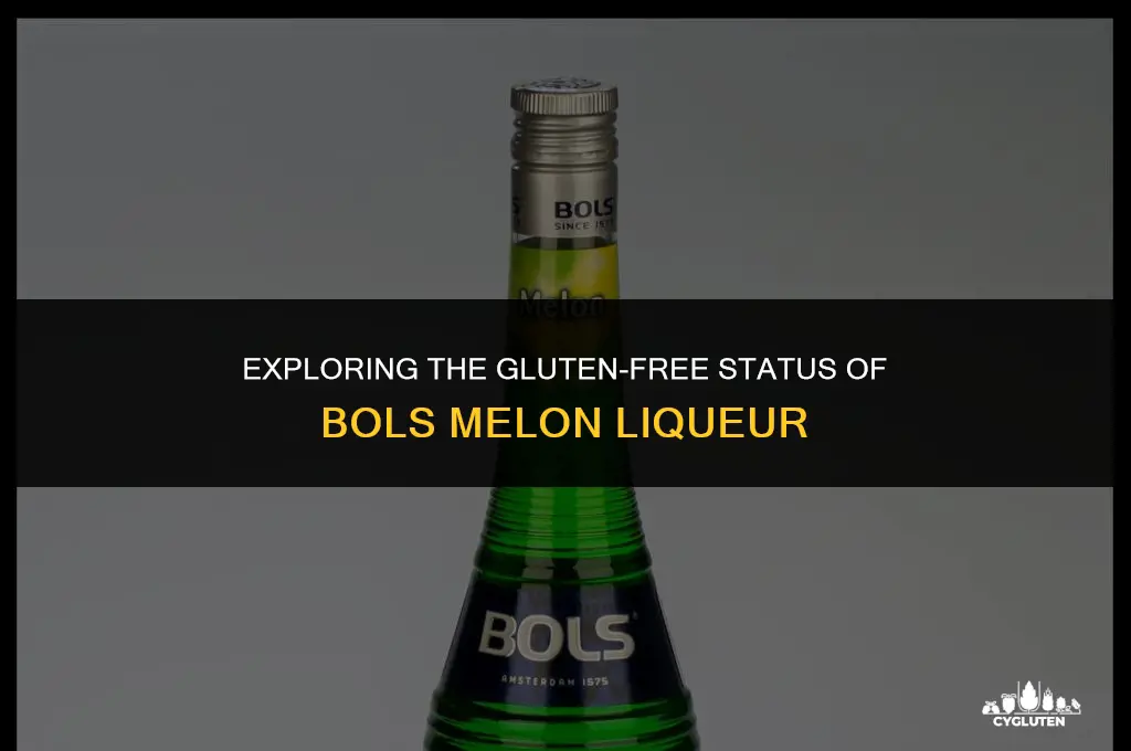 is bols melon gluten free