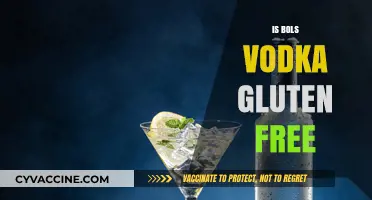 Exploring Gluten-Free Options: Is Bols Vodka a Safe Choice?