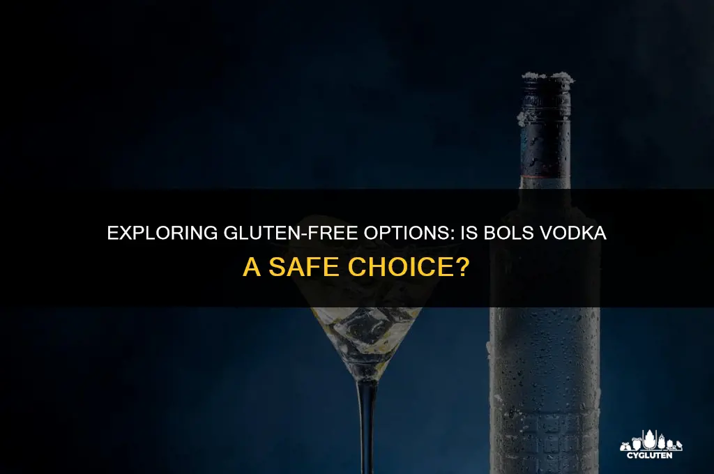 is bols vodka gluten free
