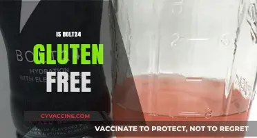 Is Bolt24 Gluten-Free? A Complete Guide to Ingredients and Safety