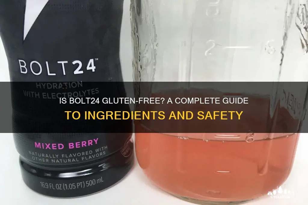 is bolt24 gluten free