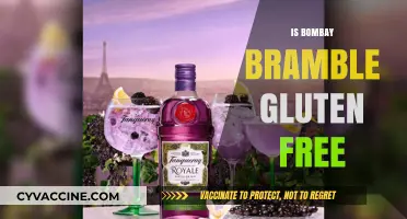Exploring Gluten-Free Options: Is Bombay Bramble Safe for Celiacs?