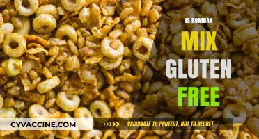 Exploring Gluten-Free Options: Is Bombay Mix Safe for Celiacs?