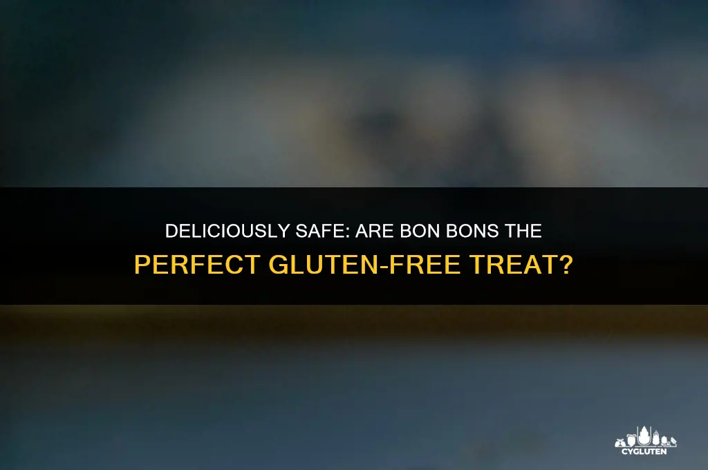 is bon bon gluten free