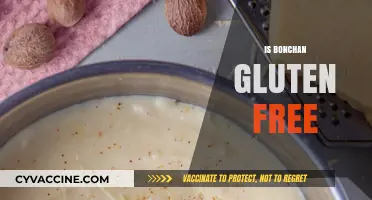 Is Bonchan Gluten-Free? A Comprehensive Guide to Your Favorite Sauce