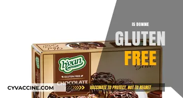 Is Bonine Gluten-Free? A Comprehensive Guide for Travelers