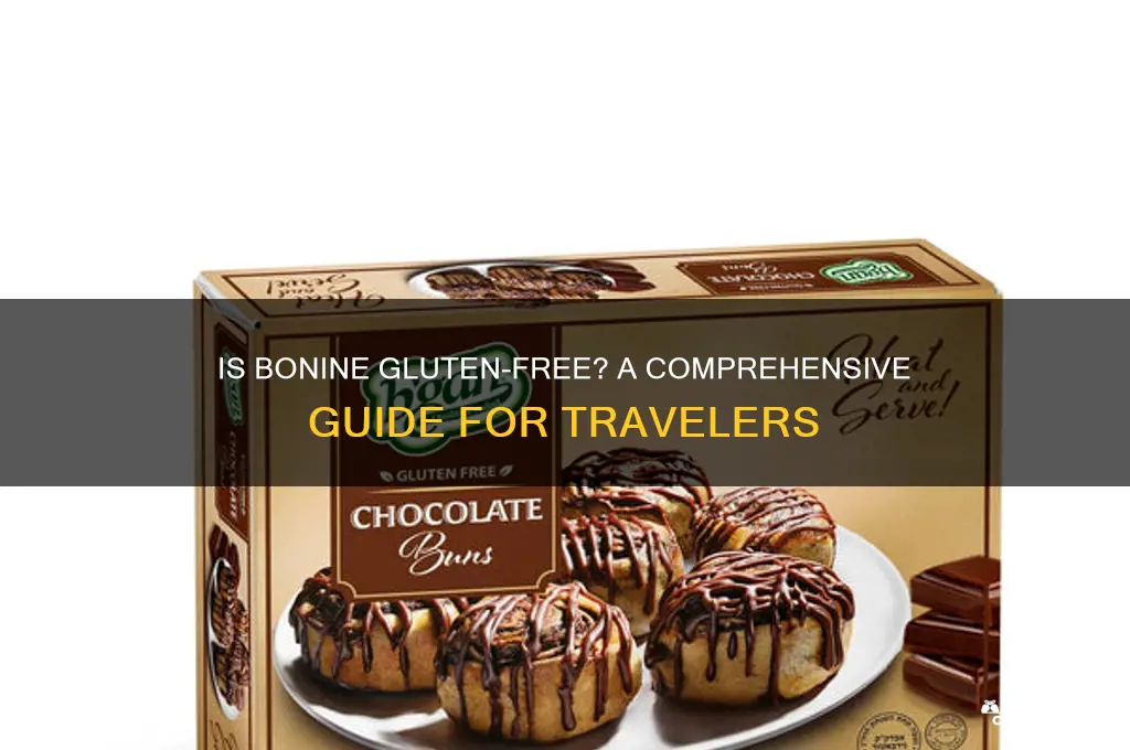 is bonine gluten free