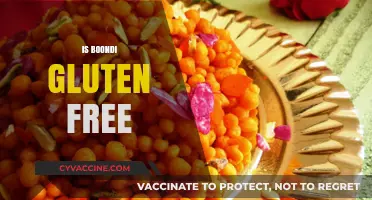 Is Boondi Gluten-Free? Exploring Ingredients and Safe Options