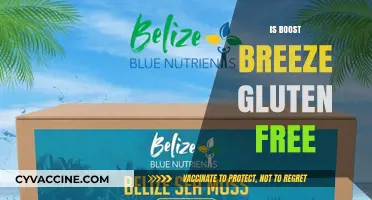 Exploring Gluten-Free Options: Is Boost Breeze Safe for Celiacs?