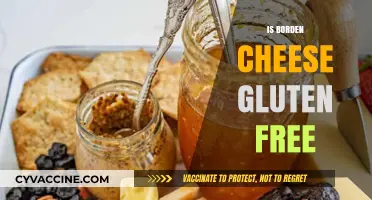 Unveiling the Truth: Is Borden Cheese Gluten-Free?