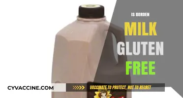Exploring Dairy Options: Is Borden Milk Gluten-Free?