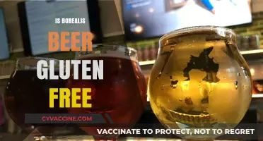 Exploring Gluten-Free Options: Is Borealis Beer Safe for Celiacs?