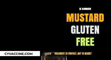 Exploring Gluten-Free Options: Is Bornier Mustard Safe for Celiacs?
