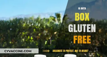 Exploring Gluten-Free Options: Is Bota Box Wine Safe for Celiacs?