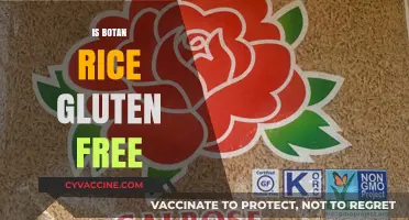 Exploring Botan Rice: A Gluten-Free Option for Health-Conscious Eaters