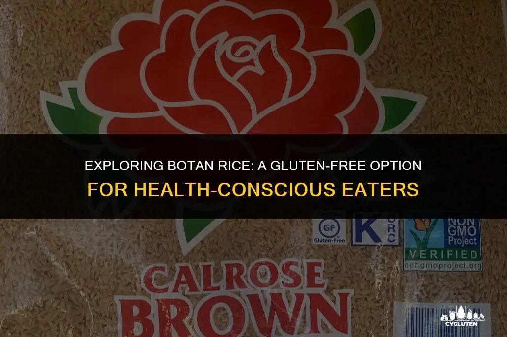 is botan rice gluten free