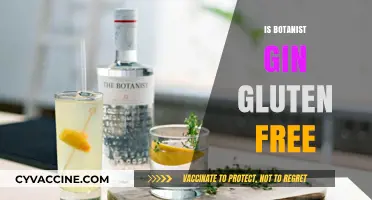 Exploring Botanist Gin: A Gluten-Free Spirit for Sensitive Sippers