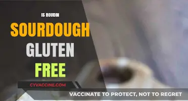 Exploring Gluten-Free Options: Is Boudin Sourdough a Safe Choice?