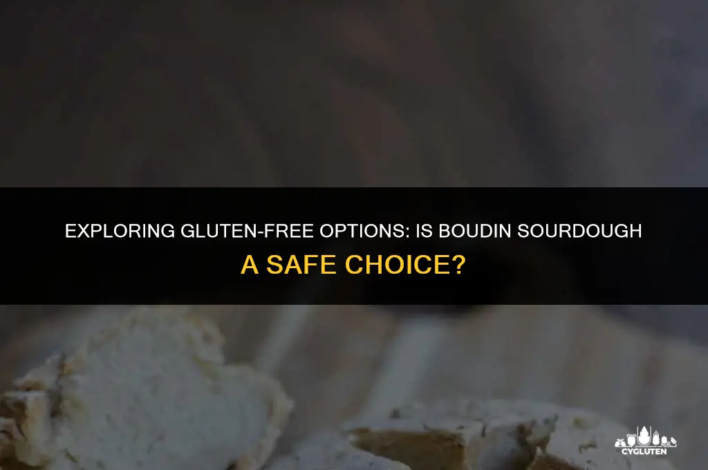 is boudin sourdough gluten free
