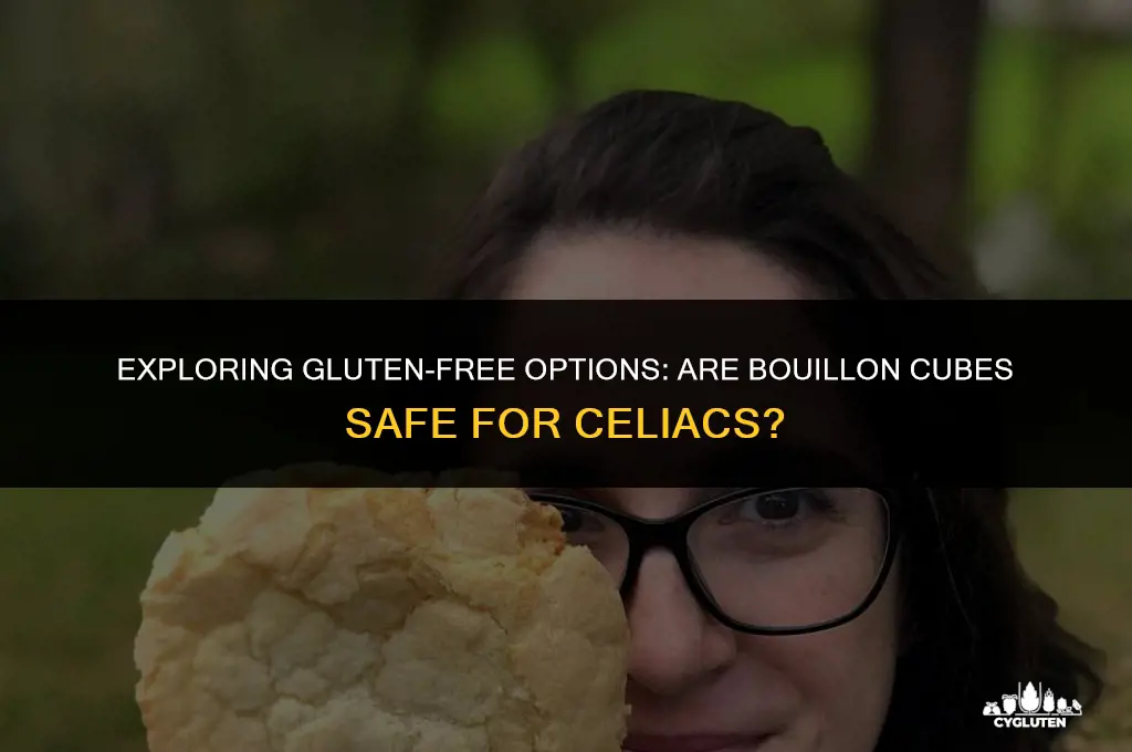 is bouillon cubes gluten free