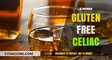 Sipping Safely: Is Bourbon a Gluten-Free Choice for Celiacs?