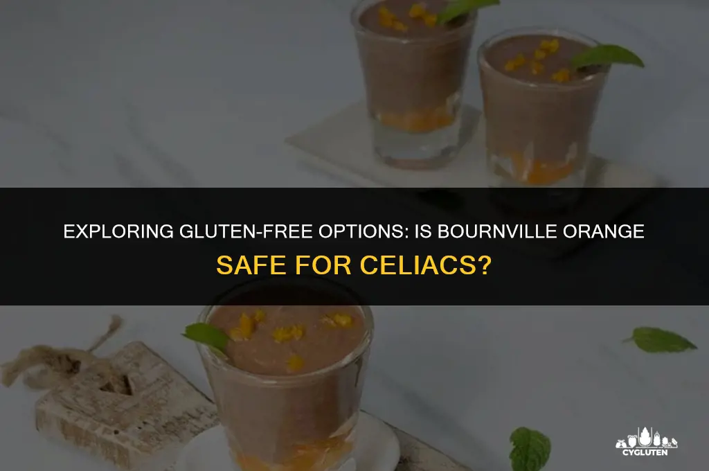 is bournville orange gluten free