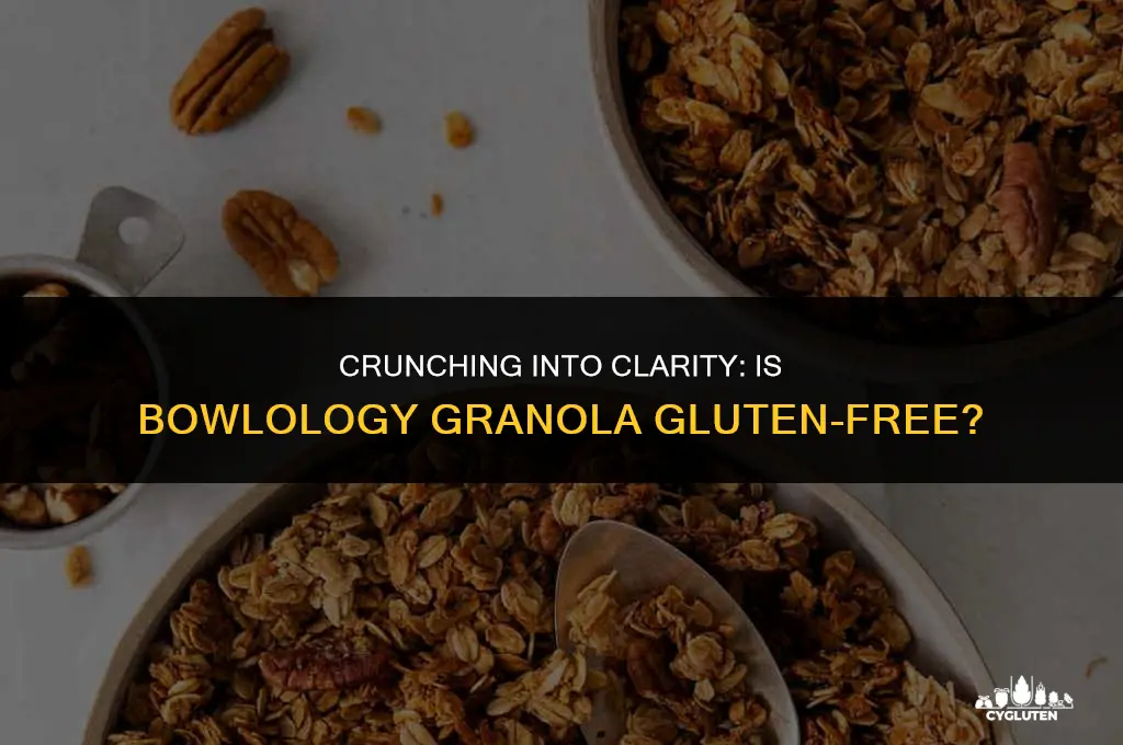 is bowlology granola gluten free
