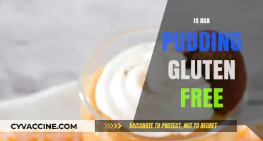 Deliciously Safe: Exploring the Gluten-Free Status of Box Pudding