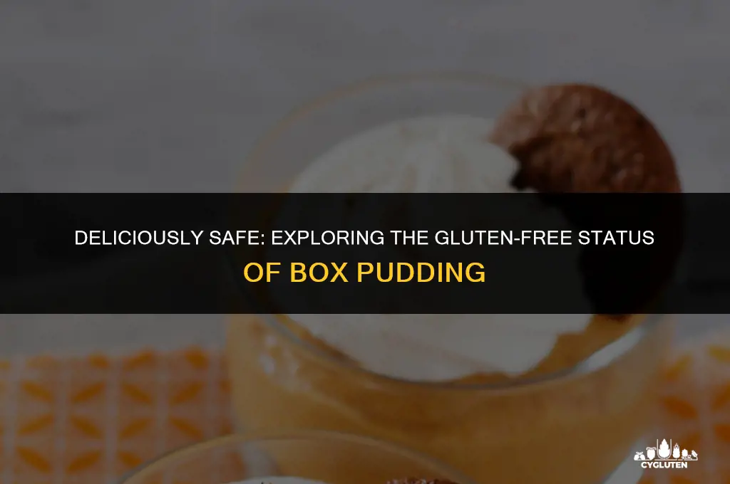 is box pudding gluten free