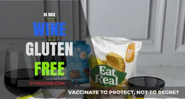 Uncorking the Truth: Is Box Wine Gluten-Free?
