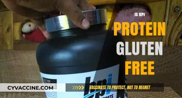 Exploring BPI Protein: A Gluten-Free Option for Fitness Enthusiasts