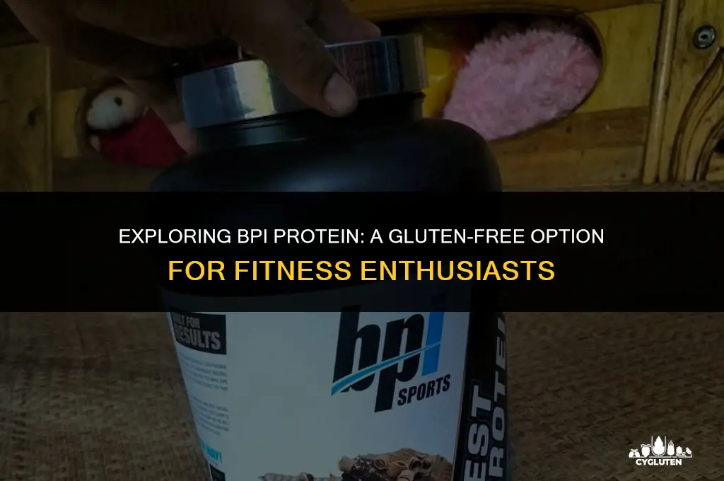 is bpi protein gluten free