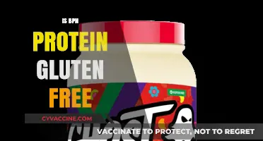 Exploring BPN Protein: A Gluten-Free Option for Fitness Enthusiasts