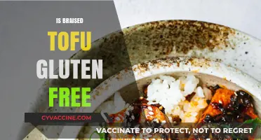 Delicious Braised Tofu: A Gluten-Free Delight for Your Taste Buds