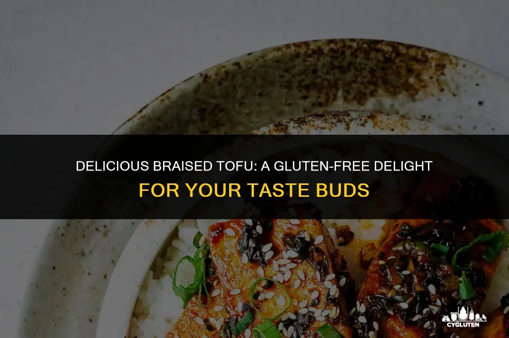 is braised tofu gluten free