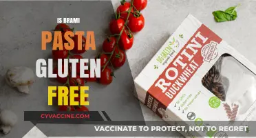 Exploring Gluten-Free Options: Is Brami Pasta a Safe Choice?