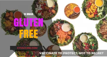 Is Brasa Gluten-Free? A Complete Guide to Their Menu Options