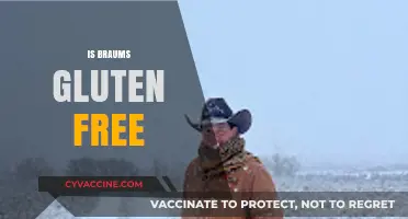 Is Braum's Gluten-Free? Exploring Menu Options for Celiac Diners