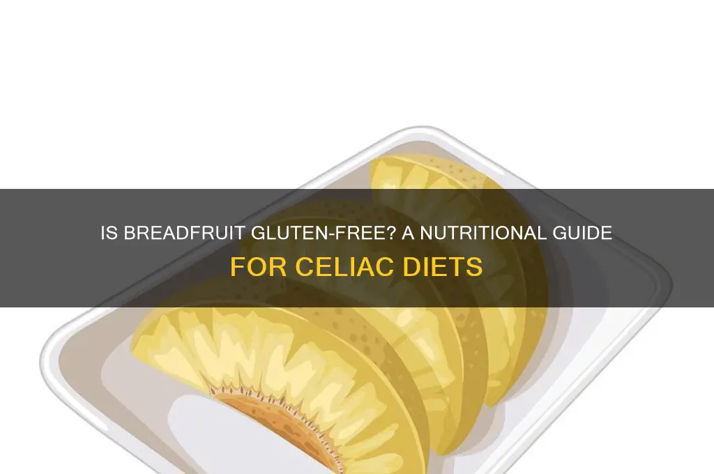 is breadfruit gluten free