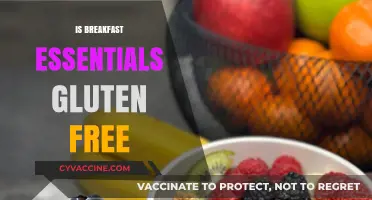 Unveiling the Truth: Is Breakfast Essentials Gluten-Free?