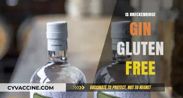 Exploring Breckenridge Gin: A Gluten-Free Spirit for All