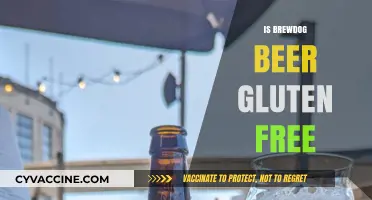 Sipping Safely: Exploring BrewDog's Gluten-Free Beer Options